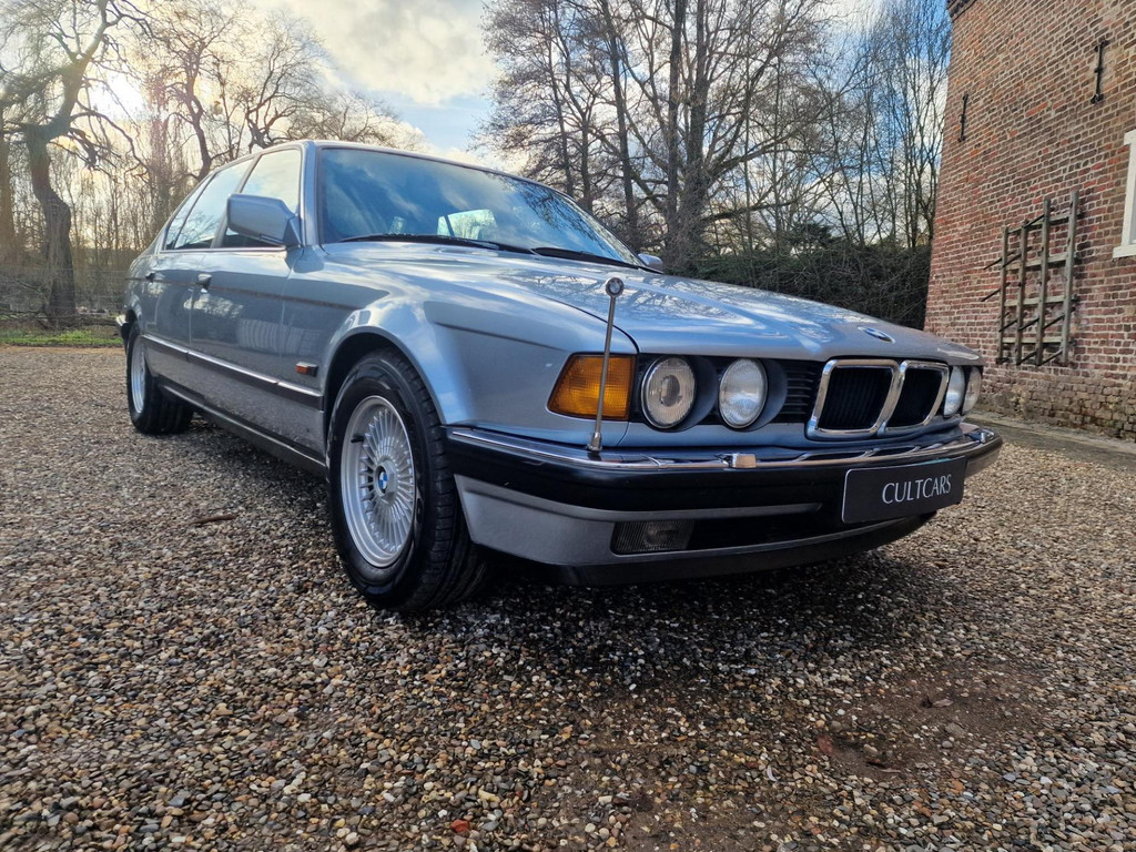 33816631
